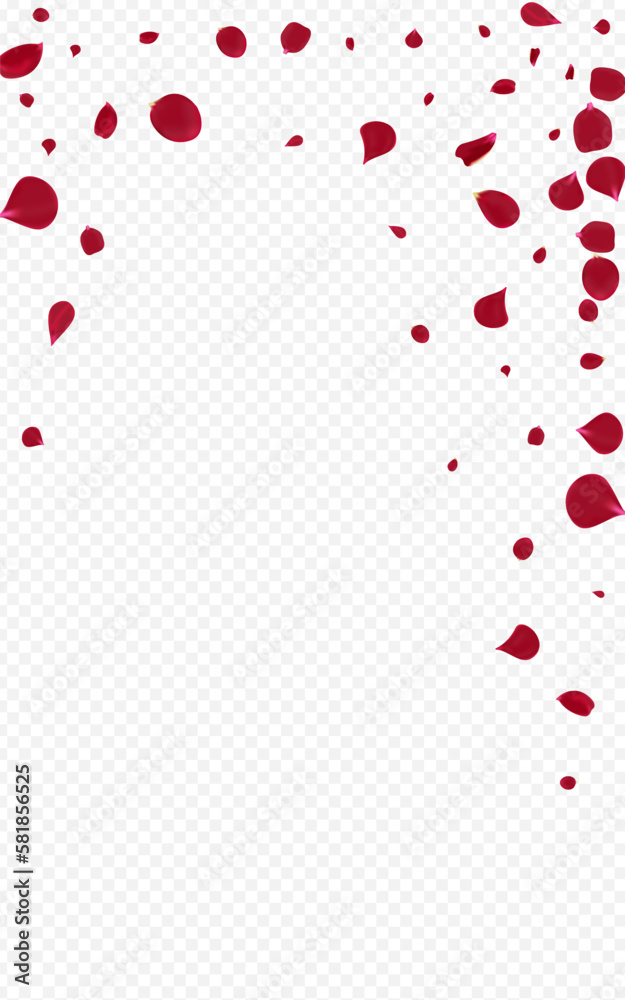 Red Petal Tender Vector Transparent Background. Red Petal Tender Vector Transparent Background.