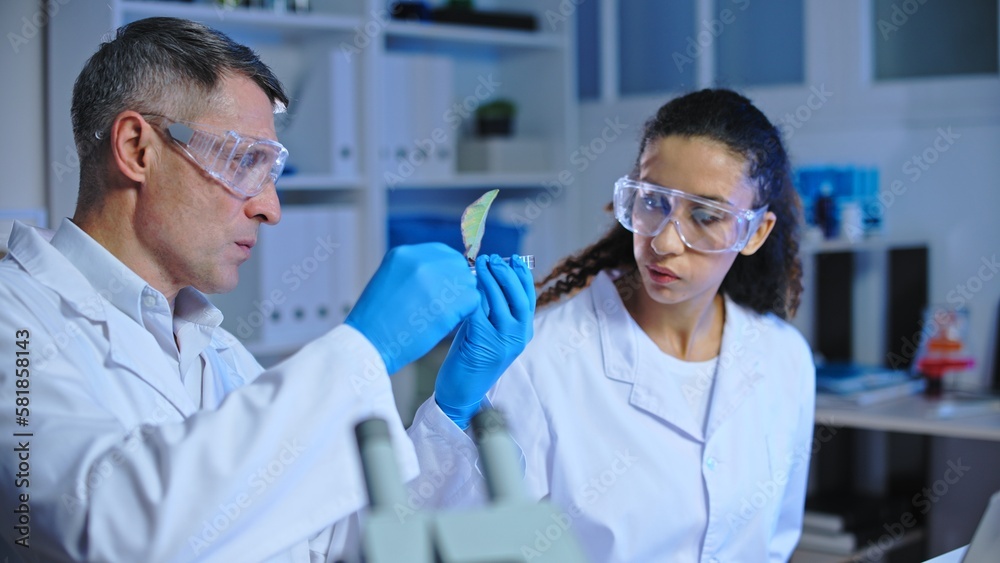 Two scientists studying leaf affected by pollution, plant pathology laboratory research Two scientists studying leaf affected by pollution, plant pathology laboratory research
