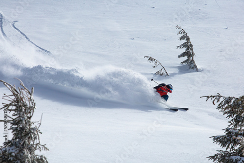 backcountry skier gracefully carves through the untouched powder snow, leaving behind a trail of white fluff in their wake