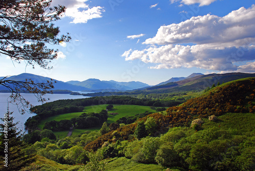 A landscape around Loch Lomond  Scotland