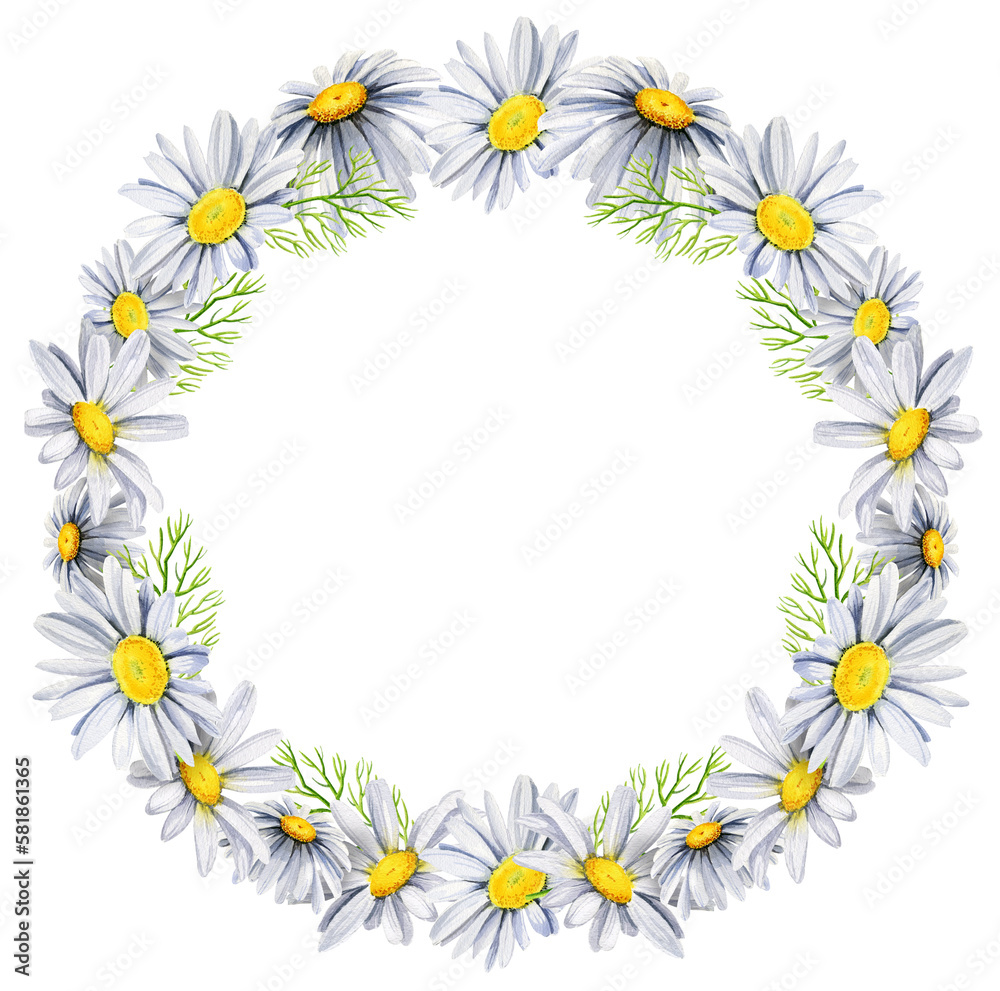 wreath with daisies, wildflowers, watercolor hand drawn illustration, round frame, spase for text wreath with daisies, wildflowers, watercolor hand drawn illustration, round frame, spase for text