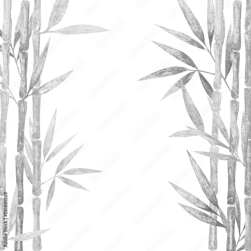 Hand drawn watercolor bamboo cane graphic grey lush foliage tropical leaves on both side mock up with copy space.Isolated on white, web design element for cards, invitations.