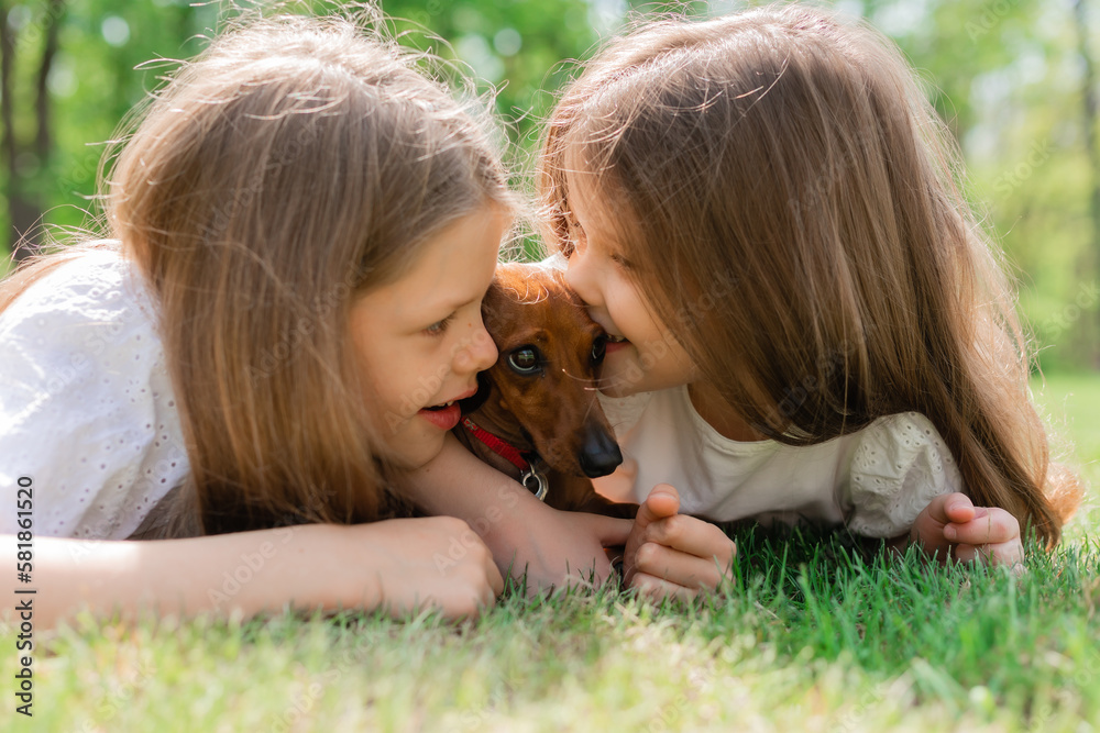 two happy little girls are lying on the green grass in the summer hugging their pet dog dachshund. Children and animals. Children's Day two happy little girls are lying on the green grass in the summer hugging their pet dog dachshund. Children and animals. Children's Day