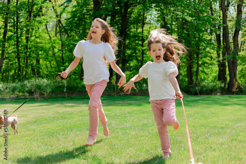 two happy little girls are walking in the park in the summer with their pets, small dogs dachshund and chihuahua. children's day