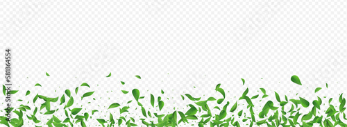 Forest Leaf Spring Vector Panoramic Transparent