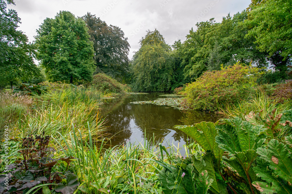 water lilies in water of pond in Botanicak garden of Hanover water lilies in water of pond in Botanicak garden of Hanover