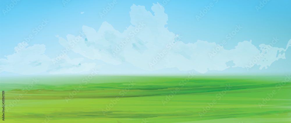 Green grass meadow landscape. Green field banner. Wide and minimal spring background. 
