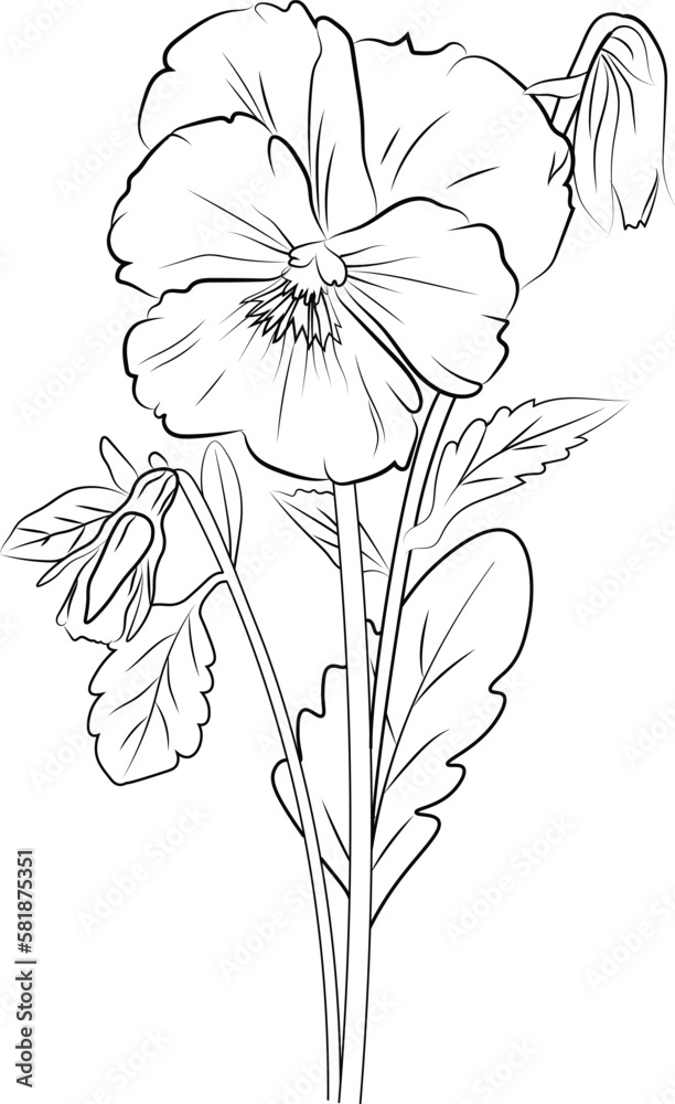 Learn How to Draw a Beautiful Flower