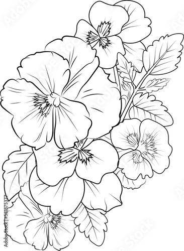 sketch contour bouquet of pansy flowers  Sketch violet flower drawing  flower cluster drawing  Easy flower coloring pages  flower coloring page for kids  purple pansies drawing. 