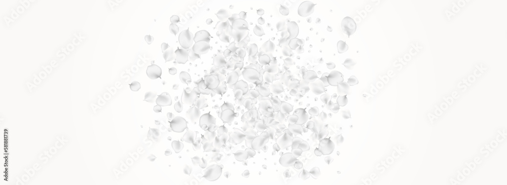 Delicate Floral Vector Light Panoramic