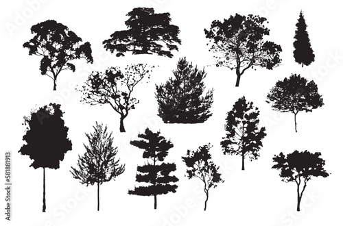silhouette tree line drawing  Side view  set of graphics trees elements outline symbol for architecture and landscape design drawing. Vector illustration in stroke fill in white. 