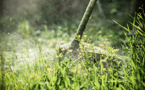 mowing the grass with a lawn mower, garden work concept background