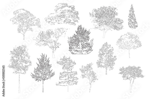 Minimal style cad tree line, Side view, set of graphics trees elements outline symbol for architecture and landscape design drawing. Vector illustration in stroke fill in white. Tropical set