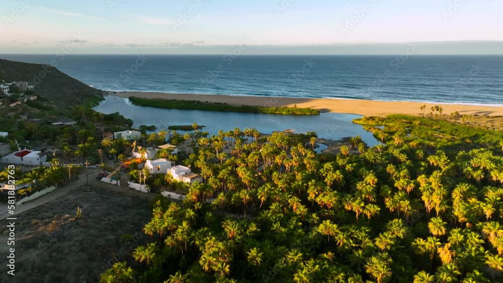 Todos Santos Estuary aerial view drone 4k at sunrise with palm trees, pacific ocean and beautiful morning light.