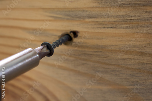 A self-tapping screw that is screwed into a wooden board with a screwdriver taken in close-up