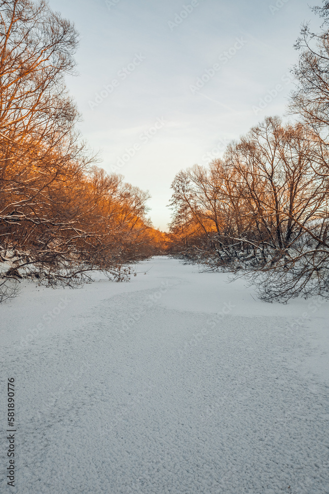Fototapeta premium winter landscape in the countryside