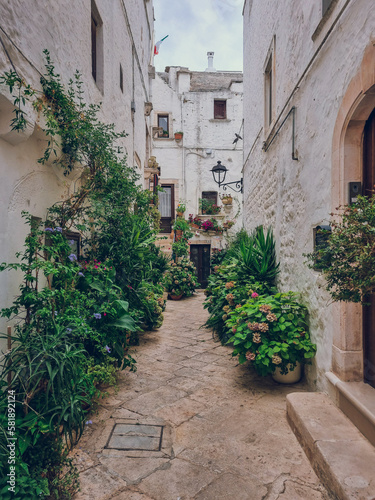 Charming white Italian alley with flowers and plants at the small town of Locorotondo  Puglia  Italy  Italia