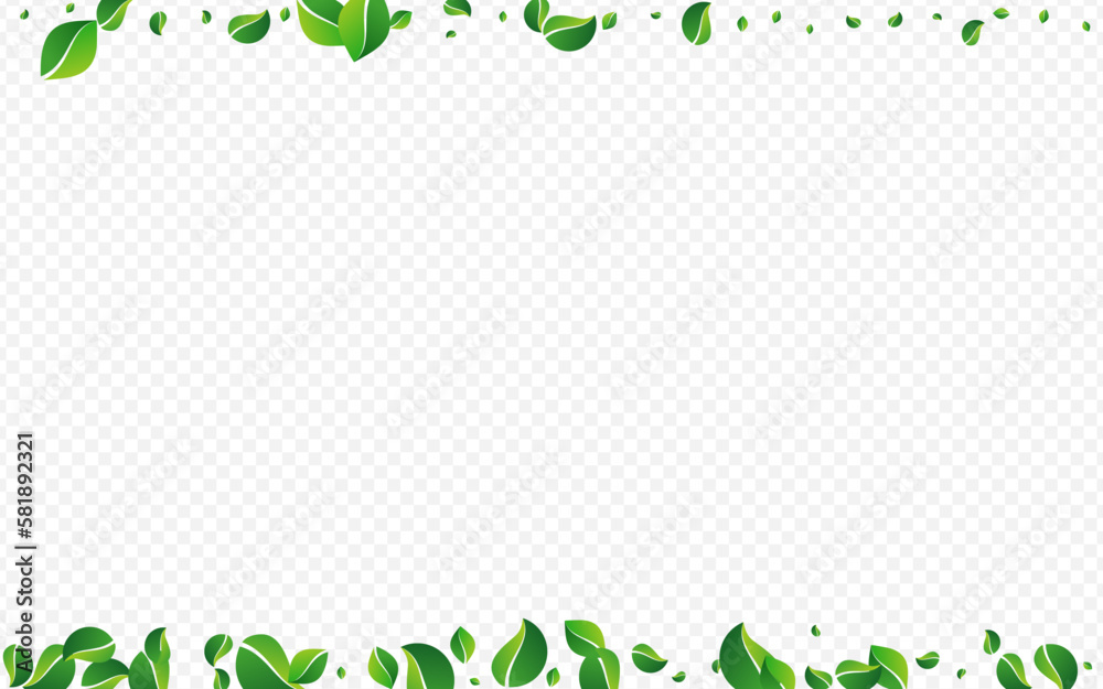 Lime Leaf Tree Vector Transparent Background.