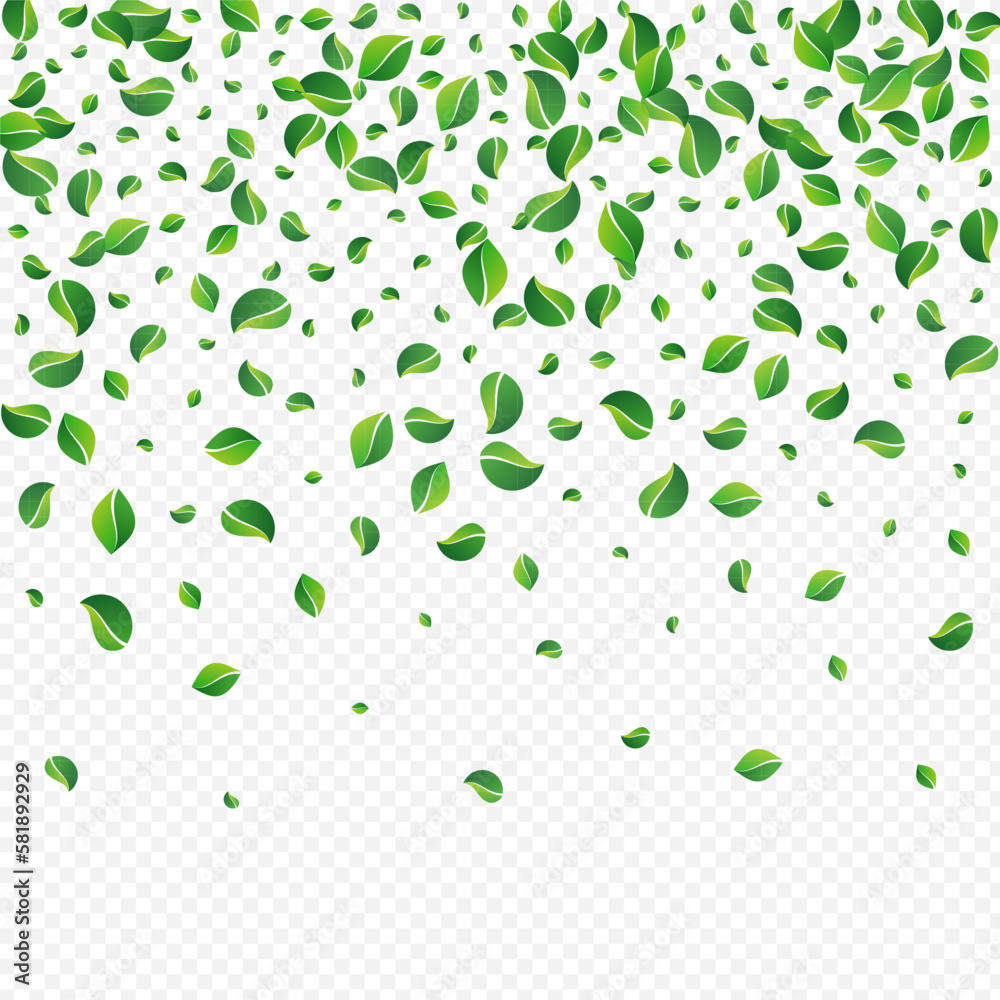 Mint Greens Falling Vector Transparent