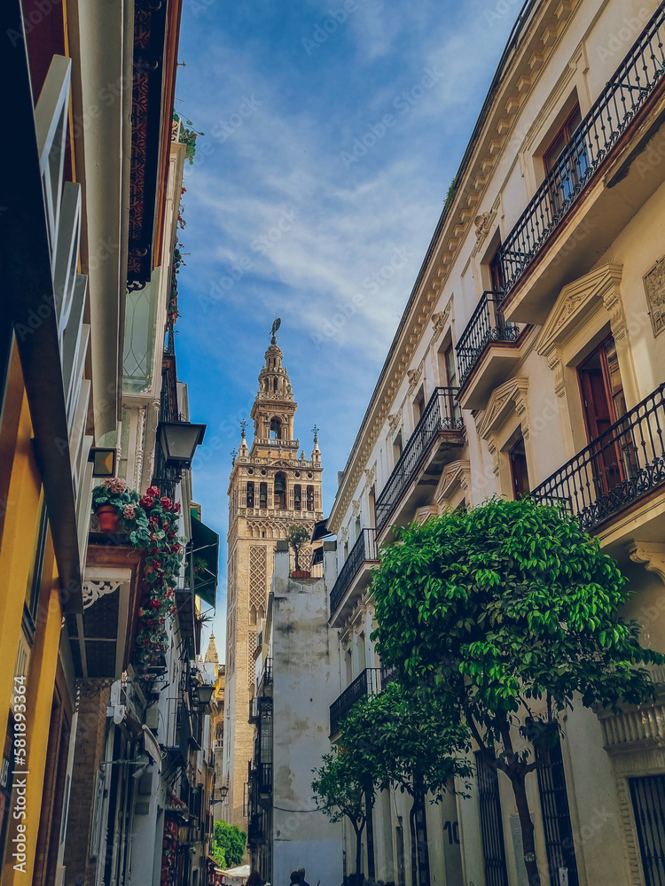 Andalusian street leading to the The Giralda tower in Seville, Andalusia, Andalucia, Spain