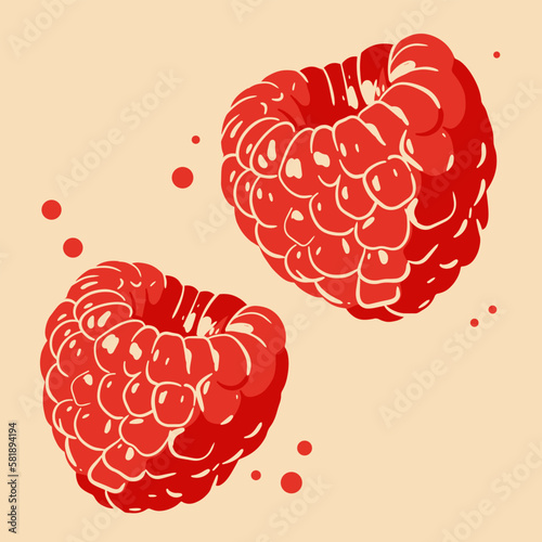 Colored vector illustration of  rasberry. For cosmetic package design, medicinal herb, treating, half care, prints. Design element  for fabric, textile, clothing, wrapping paper, wallpaper