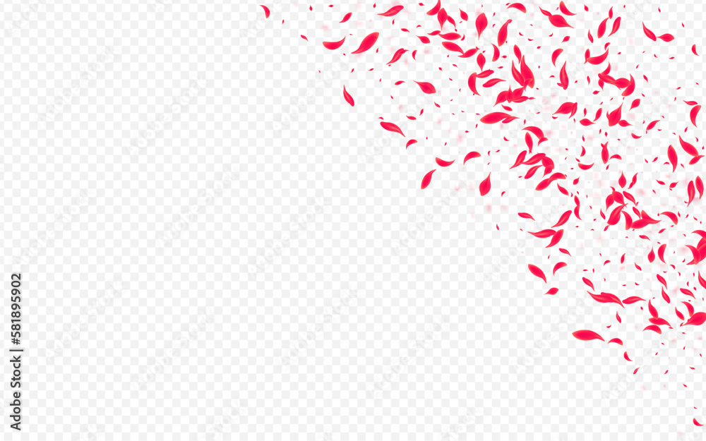 Pink Blossom Vector Transparent Background.