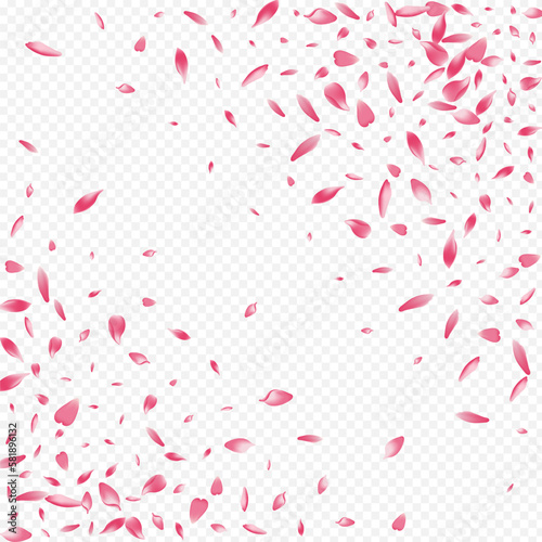 Light Apple Vector Transparent Background.