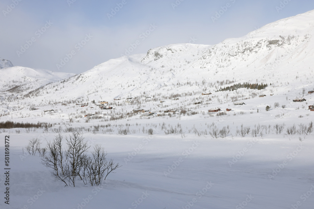 Alpine winter landscape on Hemsedal route in Norway, Europe