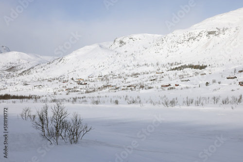 Alpine winter landscape on Hemsedal route in Norway, Europe © Rechitan Sorin