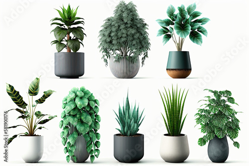 Collection of beautiful plants in ceramic pots isolated on isolate on white, 