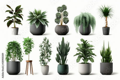 Collection of beautiful plants in ceramic pots isolated on isolate on white, 