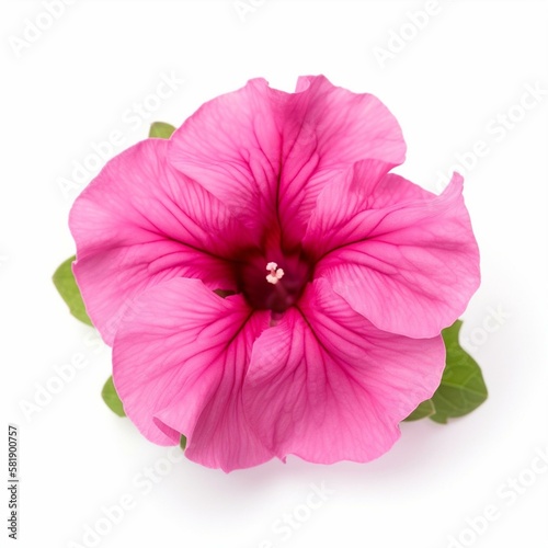 A pink petunia on white background Generative AI