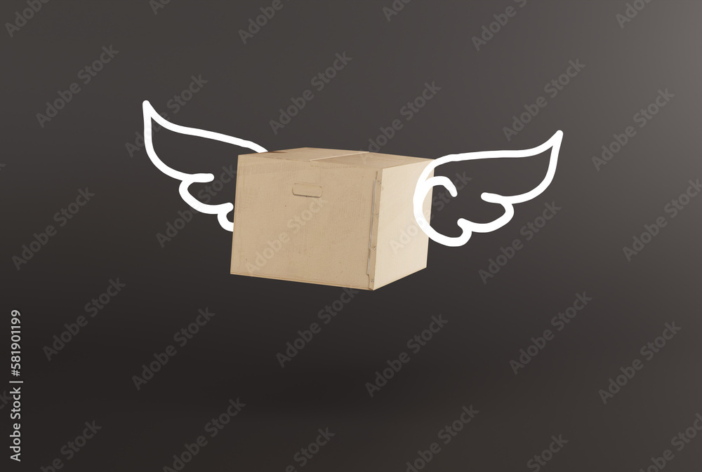 A courier package, a cardboard box with painted wings, a flying package. Parcel delivery concept, courier work and logistic companies. 3D render, 3D illustration. A courier package, a cardboard box with painted wings, a flying package. Parcel delivery concept, courier work and logistic companies. 3D render, 3D illustration.