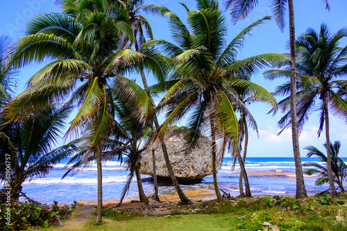 Rock formation on the beach of Bathsheba, East coast of island Barbados, paradise beach and coast of caribbean island