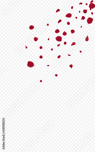 Pink Sakura Tender Vector Transparent Background.