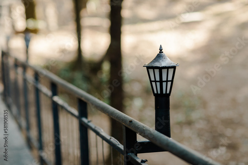 lantern in the park photo