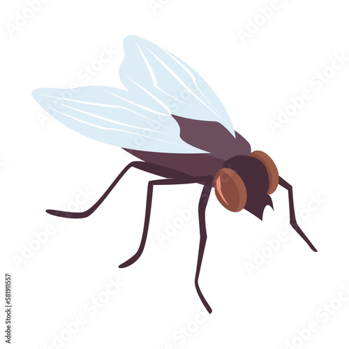 Isometric Fly Icon