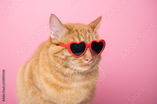 Cute red cat with red heart-shaped sunglasses sits on a pink background. Postcard with cat with space for text. Concept Valentine's Day, wedding, women's day, birthday © deine_liebe