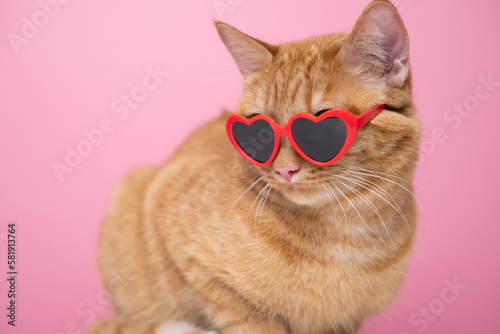 Canvas Print Cute red cat with red heart-shaped sunglasses sits on a pink background