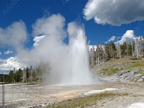 Yellowstone National Park, USA