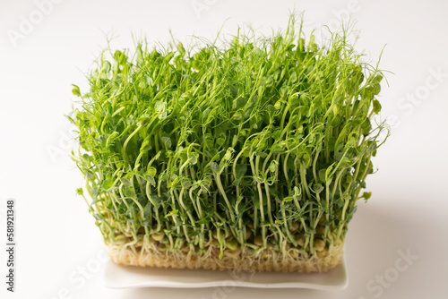 Sprouted pea sprouts, microgreens in a white rectangular plate on a white