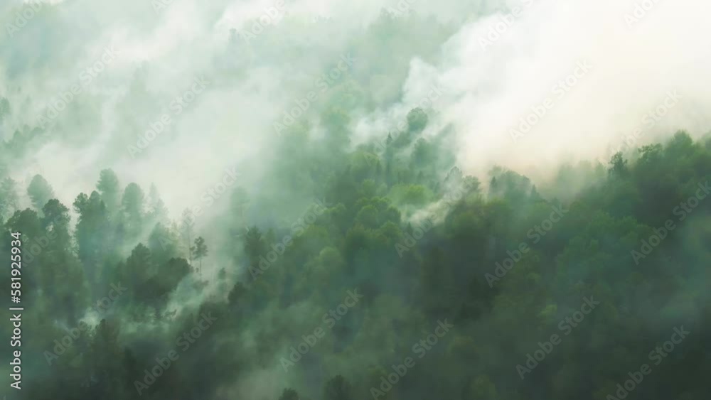 smoking forest fire aerial video, spring fire season. drone flight over green forest with clouds of smoke. uncontrolled wild land fire smoking forest fire aerial video, spring fire season. drone flight over green forest with clouds of smoke. uncontrolled wild land fire