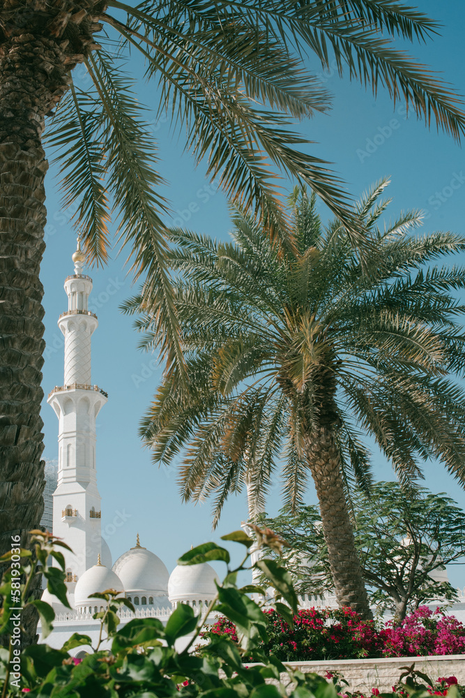 Sheikh Zayed Grand Mosque in Abu Dhabi, minaret, mosque, with palms, tower, middle east, UAE, United Arab Emirates
