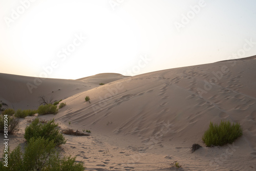 Fototapeta Naklejka Na Ścianę i Meble -  sand dunes in the desert