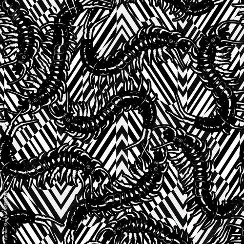 Black and white scolopendra seamless pattern photo