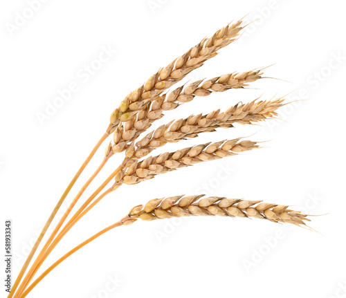 Ears of wheat.
