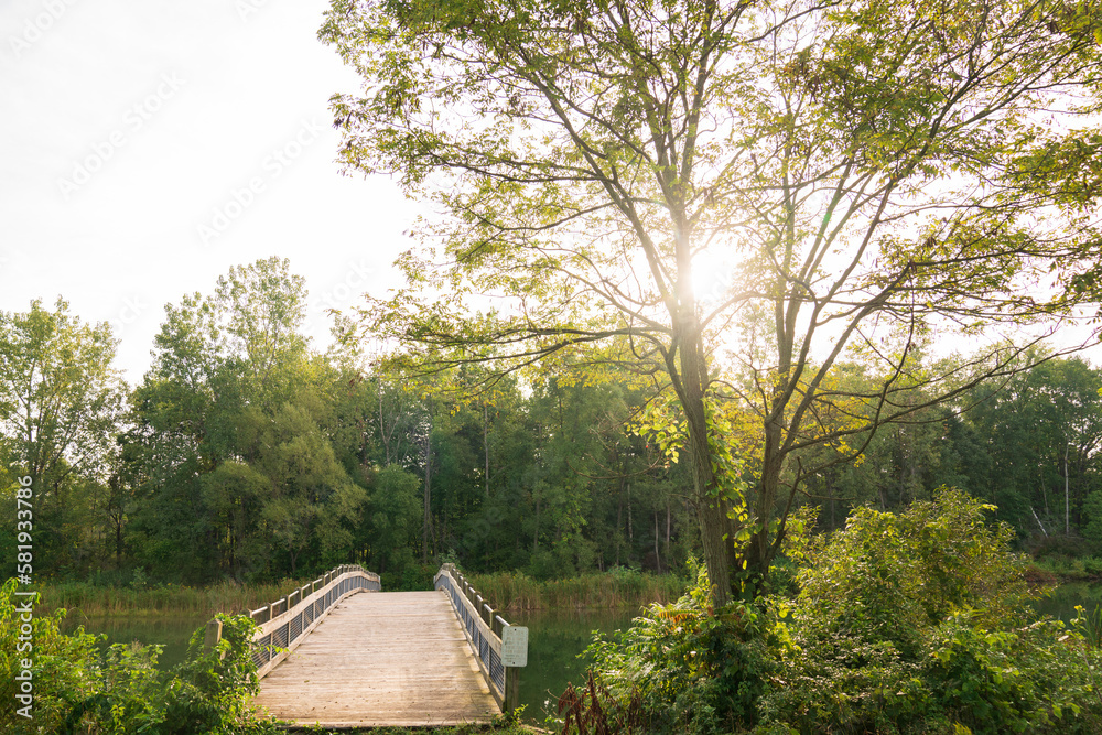Wooden bridge over a pond in a park during summer Wooden bridge over a pond in a park during summer