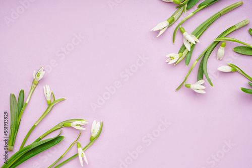 Frame made of beautiful snowdrops on lilac background
