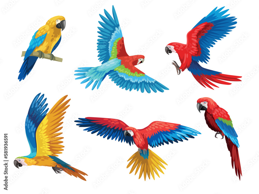 Colorful parrots set. Collection of exotic and tropical birds with bright feathers and beak. Wildlife of jungle and tropical forest. Cartoon flat vector illustrations isolated on white background