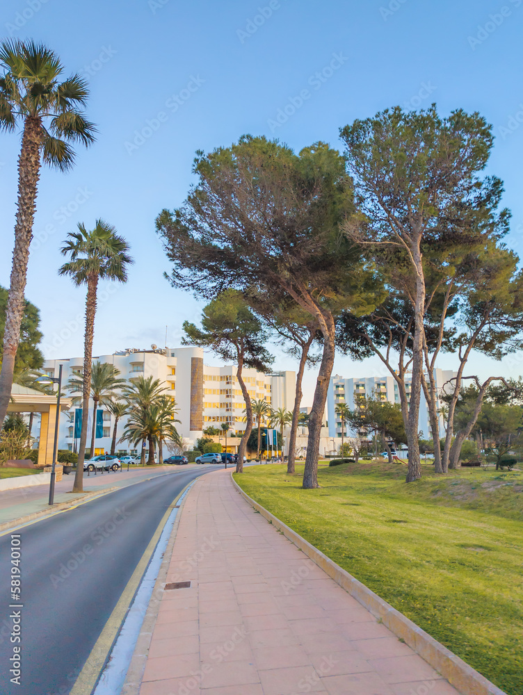 Trees and hotels in Cala Millor, Mallorca